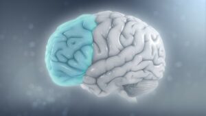 Principles and applications of Neuroplasticity in Rehabilitation