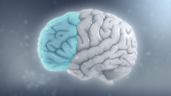 Principles and applications of Neuroplasticity in Rehabilitation