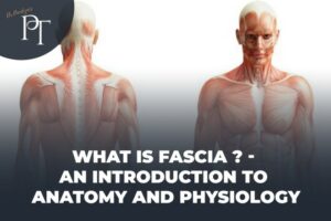 What is Fascia ? – An introduction to Anatomy and Physiology